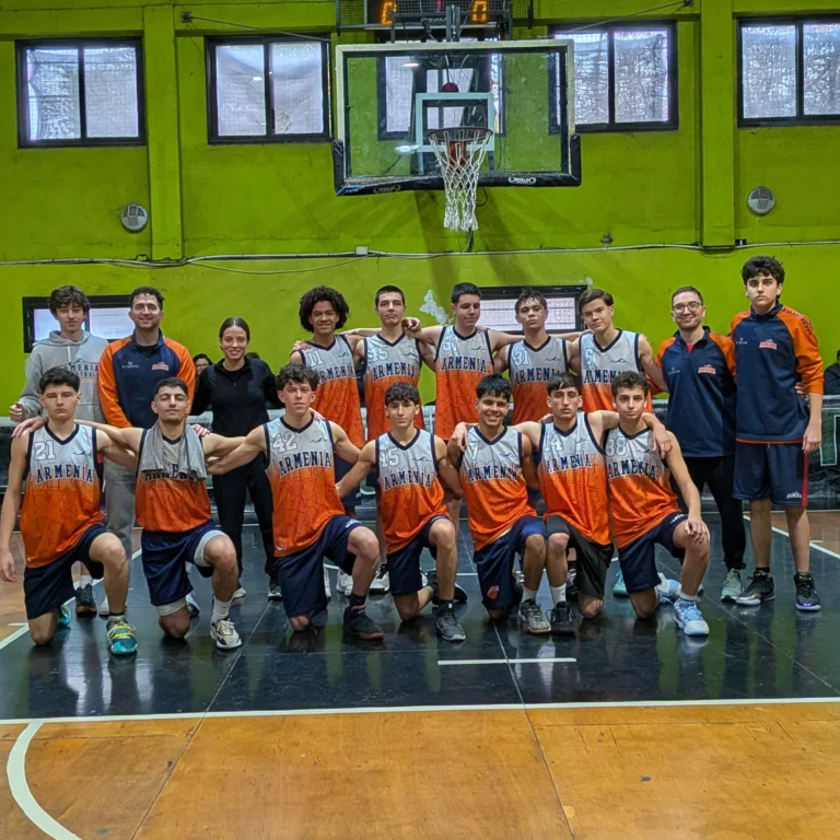 Instagram post from armenia_basquet. This post is in position 0.