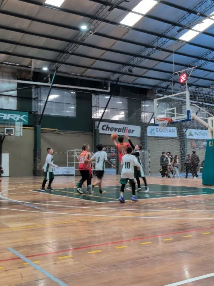 Instagram post from armenia_basquet. This post is in position 7.